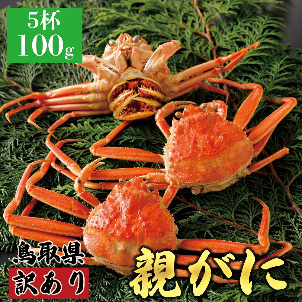 1071.【2025年12月発送】鳥取県産&nbsp;特撰&nbsp;親がに&nbsp;姿【セコガニ】（茹）【訳あり】100g&nbsp;5杯