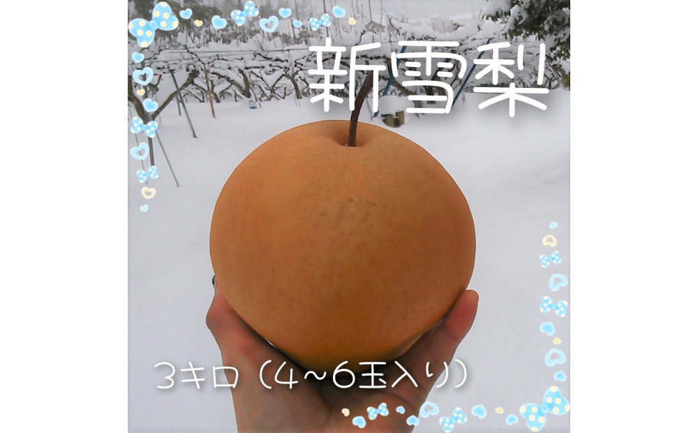 新雪梨 3kg【まえた農園】