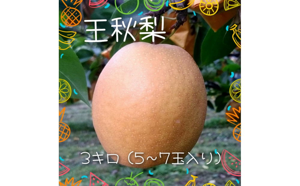 王秋梨&nbsp;3kg【まえた農園】