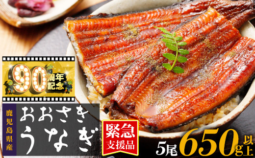 【緊急支援品】鹿児島県産うなぎ長蒲焼120g×5尾セット