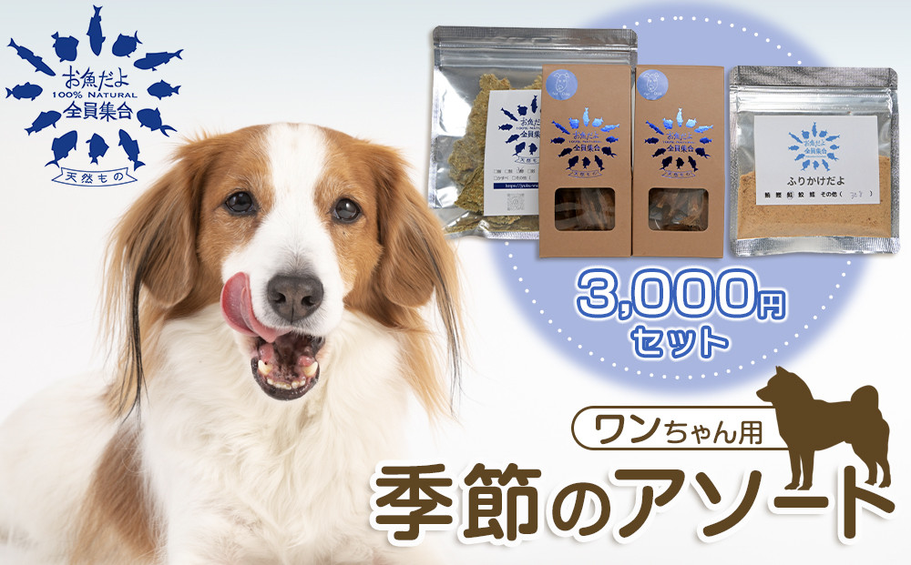 お魚だよ全員集合　季節のアソートセット&nbsp;3,000円セット　ワンちゃん用｜ペット&nbsp;おやつ&nbsp;犬&nbsp;ペットフード