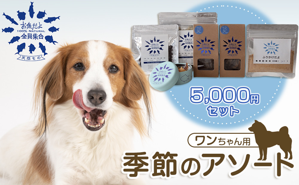 お魚だよ全員集合　季節のアソートセット 5,000円セット　ワンちゃん用｜ペット おやつ 犬 ペットフード