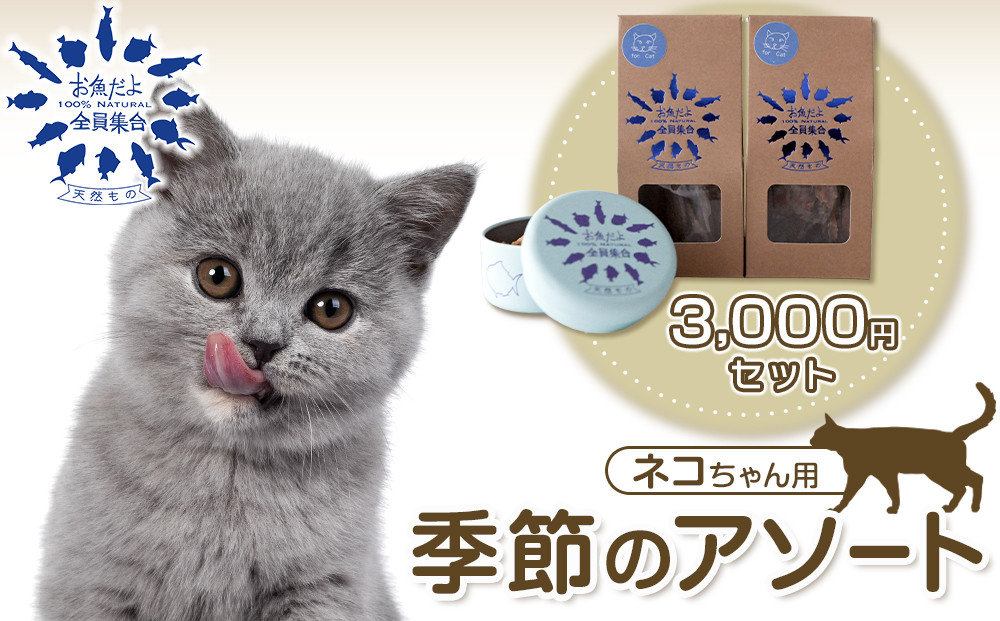お魚だよ全員集合　季節のアソートセット&nbsp;3,000円セット　ネコちゃん用｜ペット&nbsp;おやつ&nbsp;猫&nbsp;ペットフード