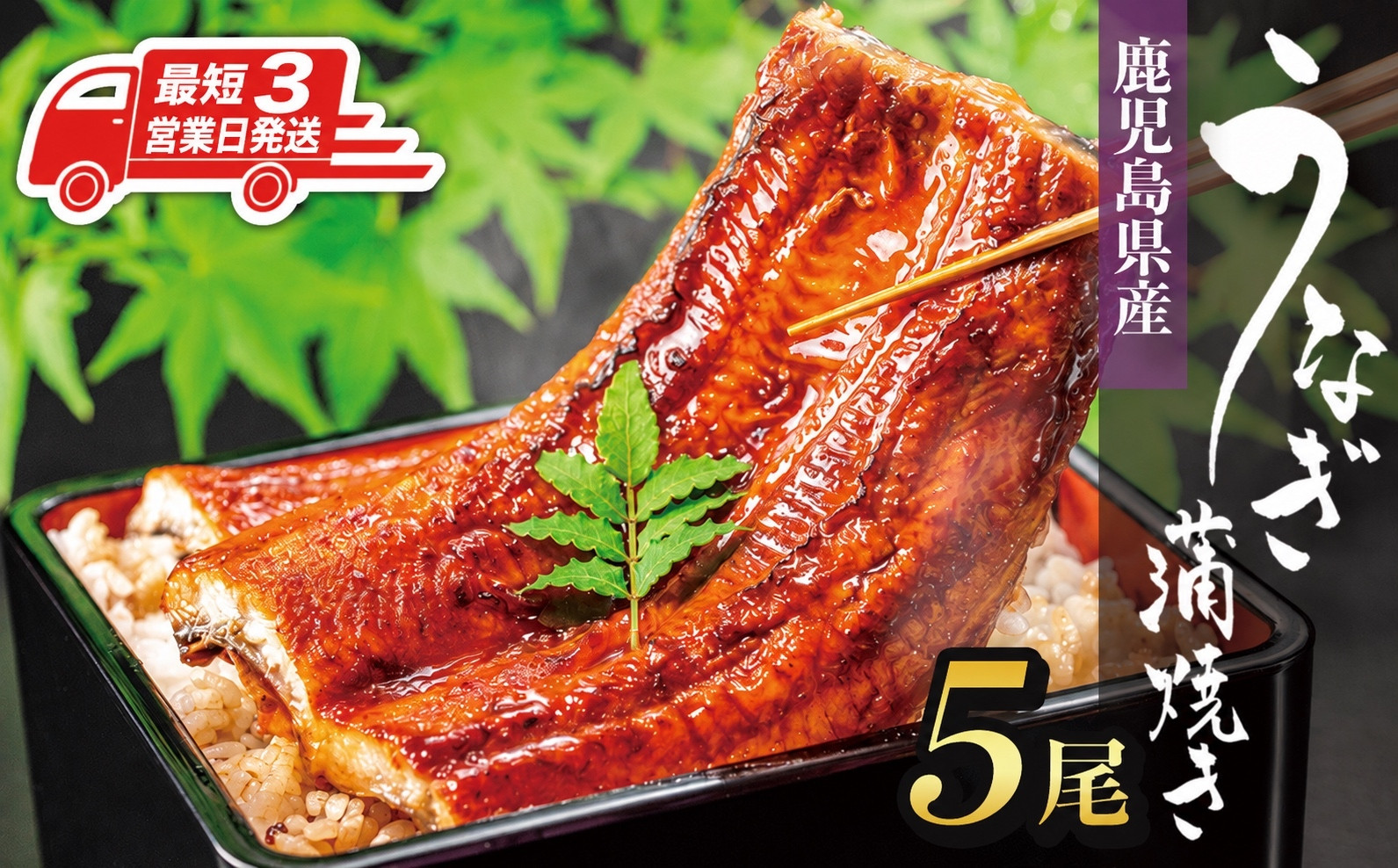 【最短3営業日発送】&nbsp;鹿児島県産&nbsp;長蒲焼&nbsp;120g&nbsp;×&nbsp;5尾&nbsp;合計&nbsp;600g&nbsp;&nbsp;国産&nbsp;うなぎ&nbsp;鰻&nbsp;ウナギ&nbsp;蒲焼き&nbsp;蒲焼&nbsp;かばやき&nbsp;魚&nbsp;魚介&nbsp;魚貝&nbsp;海鮮&nbsp;うな重&nbsp;ひつまぶし&nbsp;蒲焼&nbsp;訳あり&nbsp;ギフト&nbsp;人気&nbsp;うなぎ&nbsp;おすすめ&nbsp;鹿児島県&nbsp;大崎町&nbsp;大隅半島