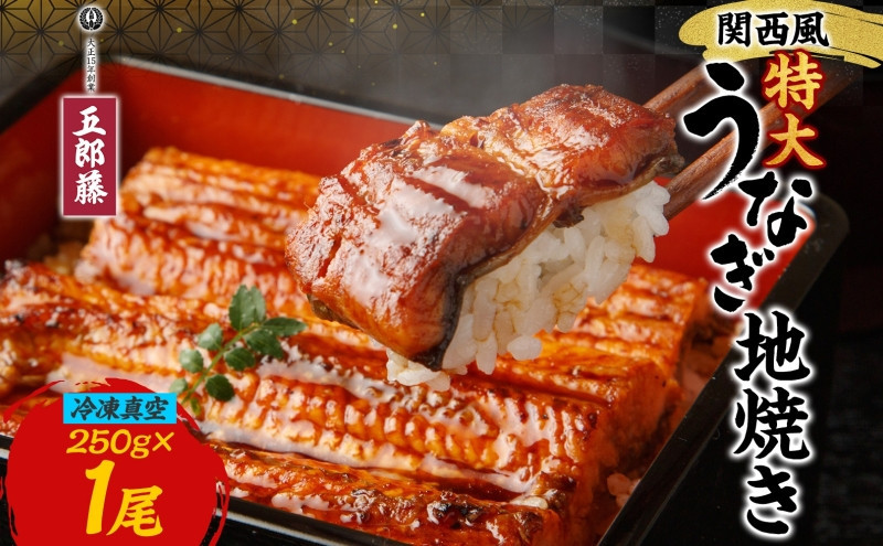 関西風うなぎ地焼き特大&nbsp;冷凍真空&nbsp;1尾×250g&nbsp;うなぎ&nbsp;ウナギ&nbsp;タレ&nbsp;老舗&nbsp;伝統&nbsp;蒲焼き&nbsp;真空パック&nbsp;小分け&nbsp;丑の日&nbsp;ひつまぶし&nbsp;うな重&nbsp;お取り寄せ&nbsp;グルメ&nbsp;プレゼント&nbsp;贈答&nbsp;贈り物&nbsp;土用の丑の日&nbsp;五郎藤&nbsp;大阪府&nbsp;堺市