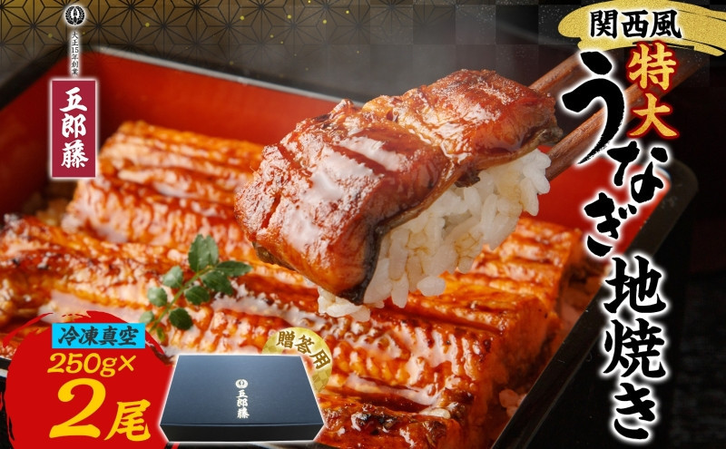 関西風うなぎ地焼き特大&nbsp;冷凍真空&nbsp;2尾×250g&nbsp;&nbsp;贈答&nbsp;うなぎ&nbsp;ウナギ&nbsp;タレ&nbsp;老舗&nbsp;伝統&nbsp;蒲焼き&nbsp;小分け&nbsp;丑の日&nbsp;ひつまぶし&nbsp;うな重&nbsp;お取り寄せ&nbsp;グルメ&nbsp;プレゼント&nbsp;贈答&nbsp;贈り物&nbsp;土用の丑の日&nbsp;五郎藤&nbsp;大阪府&nbsp;堺市