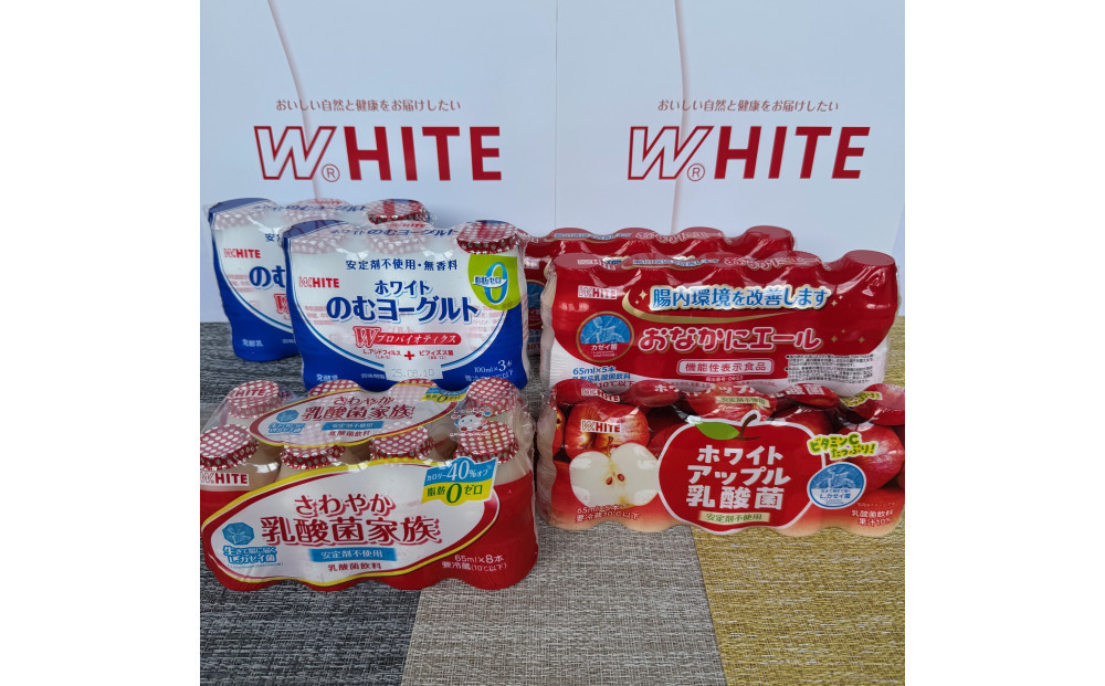 乳酸菌飲料おためしセット3000