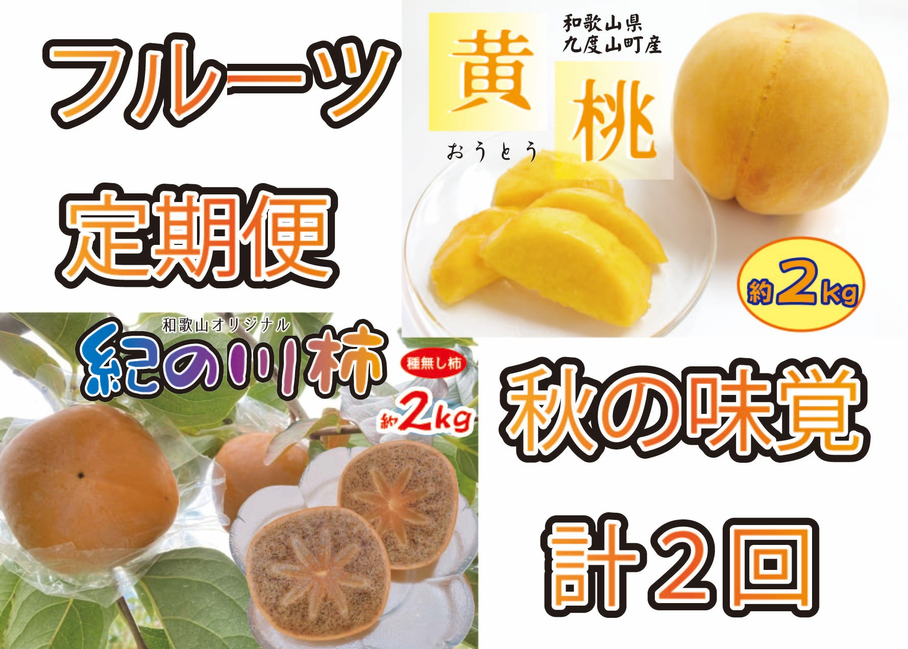 秋の味覚フルーツ定期便 黄桃(黄貴妃)約2kg＆紀の川柿 約2kg【9月・10～11月の計2回発送】