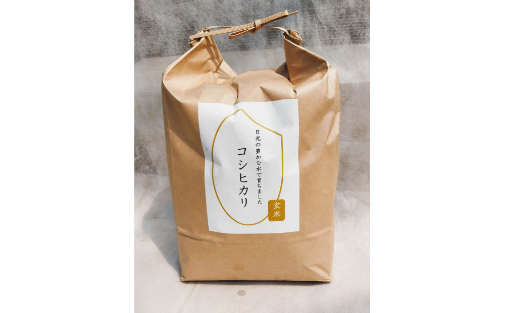 【先行予約受付】≪2025年11月発送≫令和7年産&nbsp;コシヒカリ&nbsp;玄米&nbsp;10kg（5kg×2袋）&nbsp;｜米&nbsp;お米&nbsp;新米&nbsp;数量限定