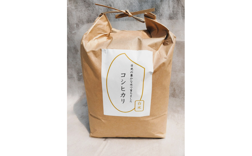 令和7年産&nbsp;コシヒカリ&nbsp;白米&nbsp;10kg（5kg×2袋）&nbsp;｜米&nbsp;お米&nbsp;数量限定