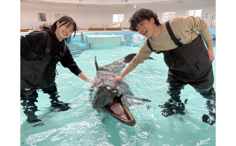 ノアドルフィンドーム　浅瀬でイルカと遊ぶ体験&nbsp;ペア入場券付