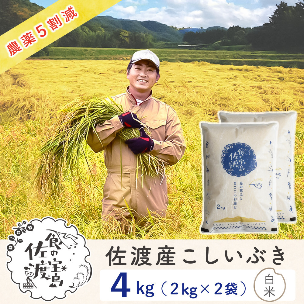 佐渡島産こしいぶき&nbsp;白米4Kg（2Kg×2袋）&nbsp;令和7年&nbsp;～農薬5割減～&nbsp;農家直送