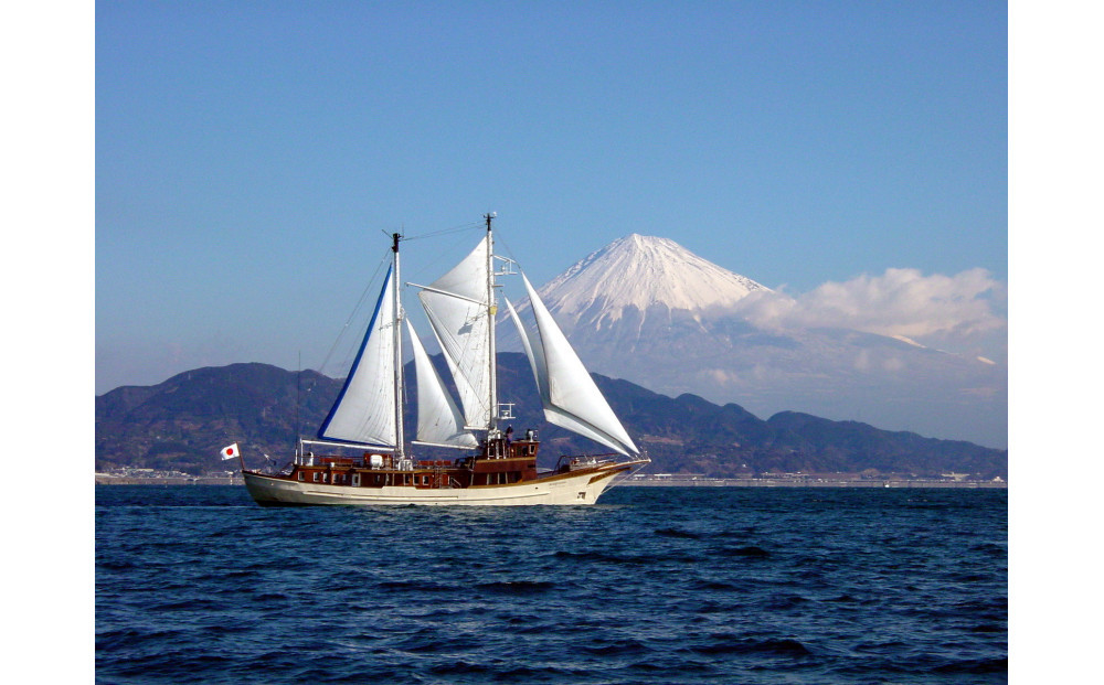 【オーシャンプリンセス号貸切】60分間