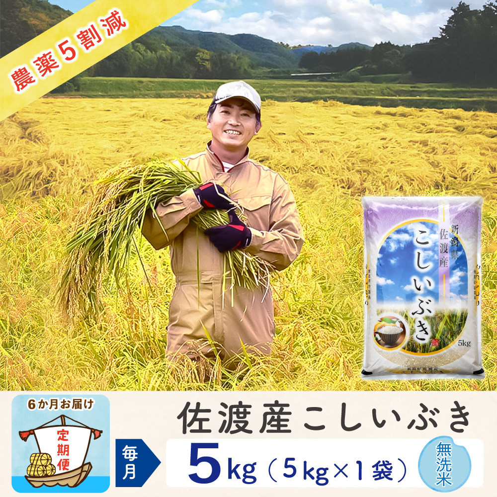 【新米予約&nbsp;6か月定期便】佐渡島産こしいぶき&nbsp;無洗米5Kg&nbsp;令和7年&nbsp;～農薬5割減～&nbsp;農家直送
