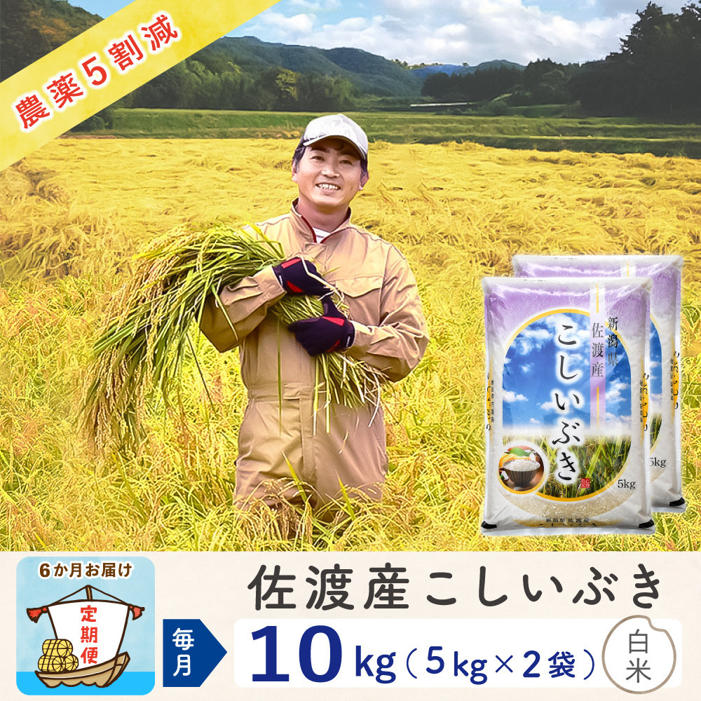 【新米予約&nbsp;6か月定期便】佐渡島産こしいぶき&nbsp;白米10Kg(5Kg×2袋）&nbsp;令和7年&nbsp;～農薬5割減～&nbsp;農家直送