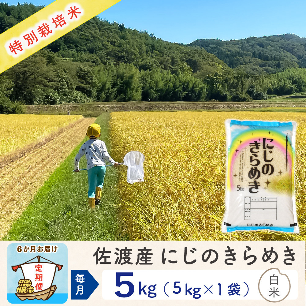 【新米予約 6か月定期便】佐渡島産にじのきらめき 白米5Kg 令和7年 特別栽培米 農家直送