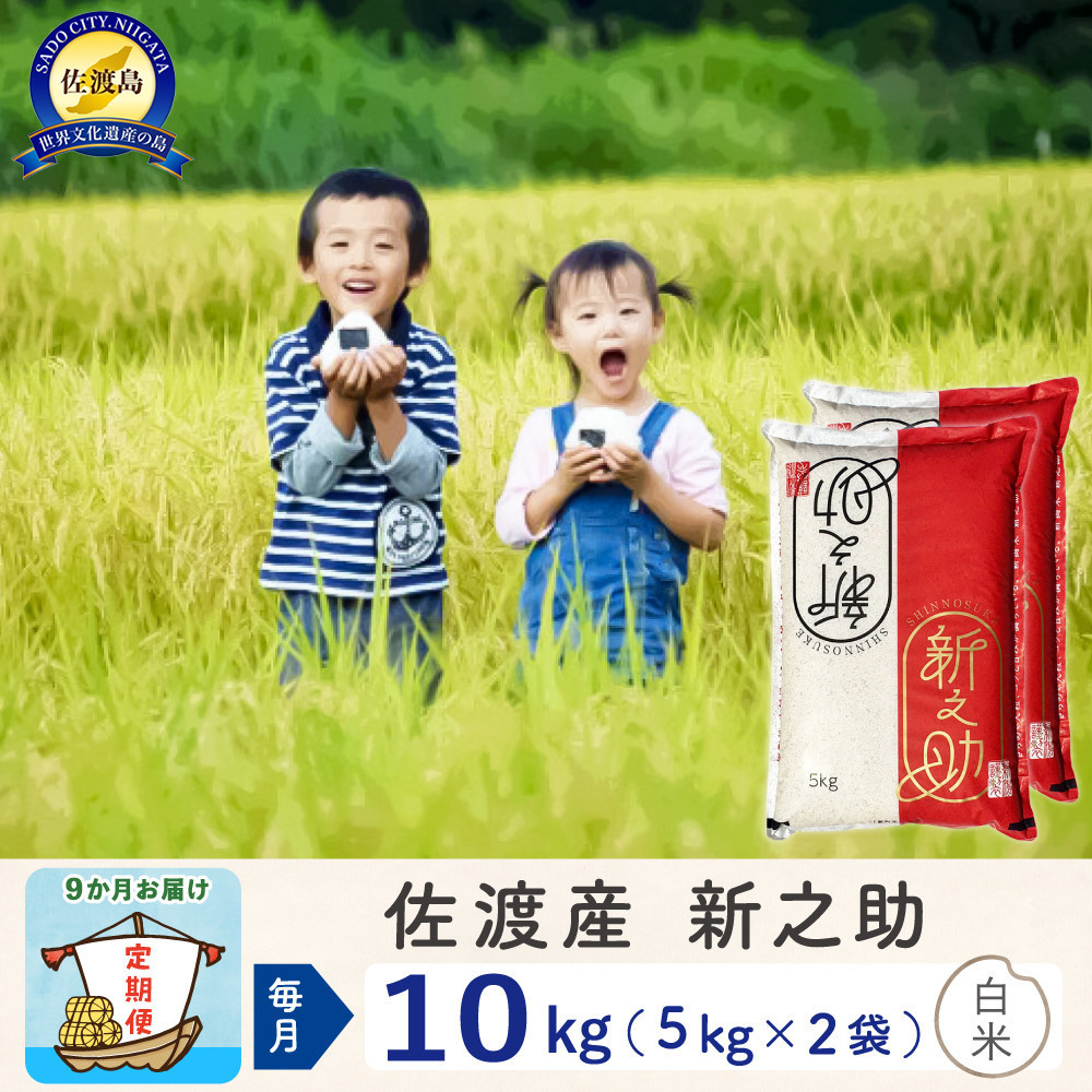 【新米予約&nbsp;9か月定期便】佐渡島産&nbsp;新之助&nbsp;白米10Kg&nbsp;令和7年