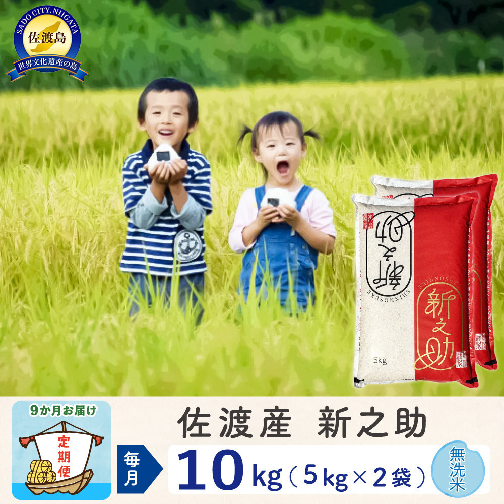 【新米予約 9か月定期便】佐渡島産 新之助 無洗米10Kg 令和7年