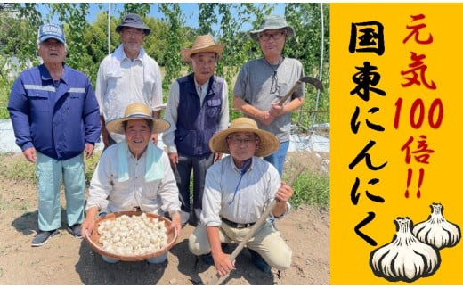 【訳あり】毎日食べて元気モリモリ！国東産乾燥にんにく/バラ0.8kg/こだわり減農薬栽培_2611R