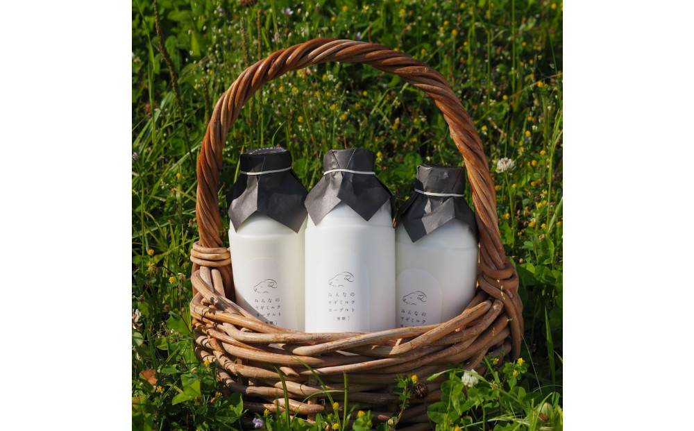 【2026年発送分 先行予約】 みんなのヤギミルクヨーグルト（無糖タイプ）3本セット