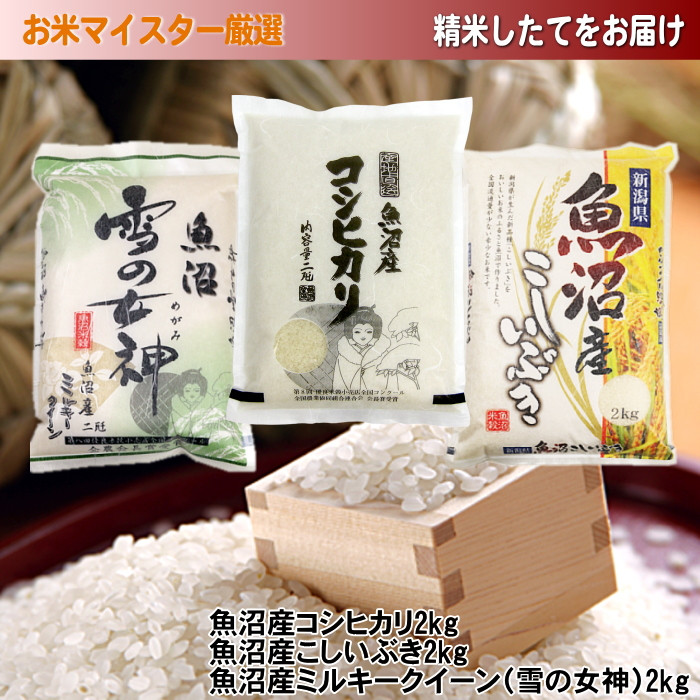 【令和7年産新米予約】魚沼産米こだわりの3品種食べ比べセット 6kg(2kg×3) 2025年10月上旬発送開始予定 新潟県 新潟 米 魚沼 魚沼産 コシヒカリ こしひかり こしいぶき ミルキークイーン