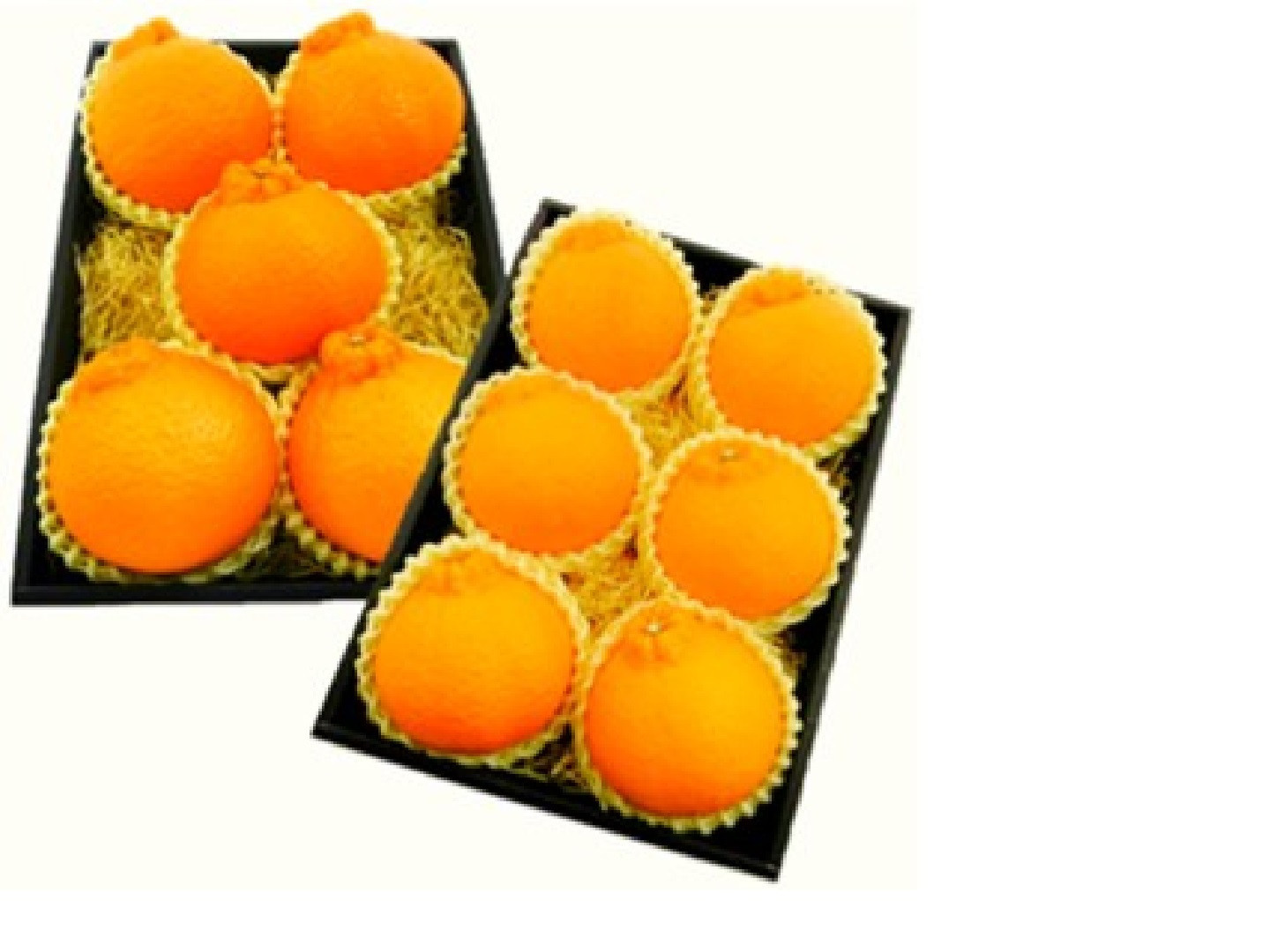 【2026年先行予約】【2026年3月上旬以降順次発送】西ヶ谷蜜柑農園&nbsp;越冬&nbsp;不知火&nbsp;しらぬい&nbsp;&nbsp;2L～4L（5玉～7玉）柑橘&nbsp;フルーツ&nbsp;果実◆【離島・沖縄配送不可】