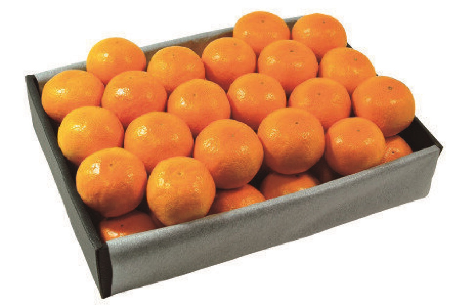 【2026年2月上旬以降順次発送】【定期便&nbsp;2ヶ月】&nbsp;西ヶ谷蜜柑農園&nbsp;旬の柑橘&nbsp;2種&nbsp;【寿太郎みかん「恋蜜」・越冬&nbsp;不知火（化粧箱入り）】&nbsp;ミカン&nbsp;柑橘&nbsp;フルーツ&nbsp;果実◆ルーツ&nbsp;果実◆【離島・沖縄配送不可】