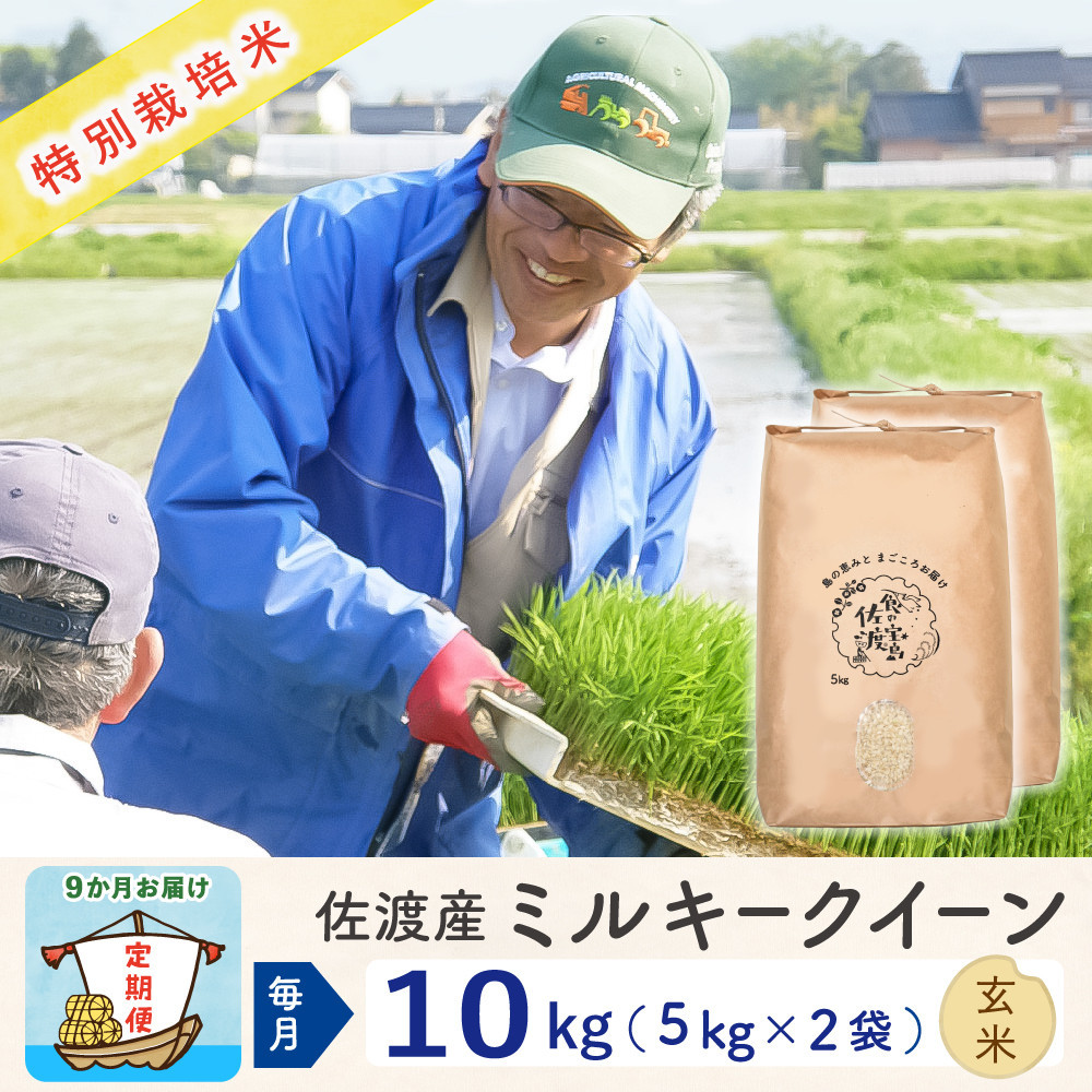 【新米予約&nbsp;9か月定期便】佐渡島産ミルキークイーン&nbsp;玄米10Kg&nbsp;(5Kg×2袋）令和7年&nbsp;特別栽培米