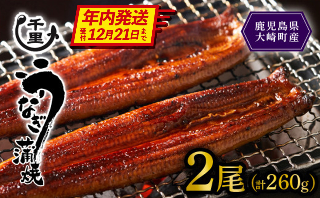 年内発送【数量限定】鹿児島県産うなぎ蒲焼き　約130g×2尾