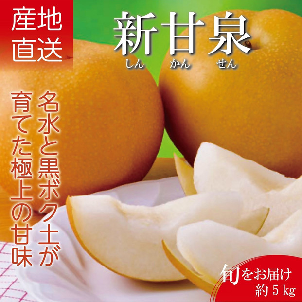 ＜数量限定＞&nbsp;梨&nbsp;新甘泉&nbsp;5kg&nbsp;鳥取県産&nbsp;梨&nbsp;なし&nbsp;しんかんせん&nbsp;旬&nbsp;フルーツ&nbsp;5ｷﾛ&nbsp;新鮮&nbsp;ふるさと納税&nbsp;おすすめ&nbsp;送料無料&nbsp;&nbsp;