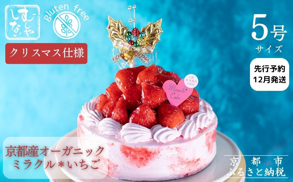 【先行予約】《2025年12月発送》【むしやしない】京都産オーガニックミラクル＊いちご(5号：4～6名様向け)［ 京都 一乗寺 豆乳 クリスマスケーキ グルテンフリー ヴィーガン アレルギー対応 人気 おすすめ 苺 ホールケーキ お取り寄せ 通販 ふるさと納税 ］