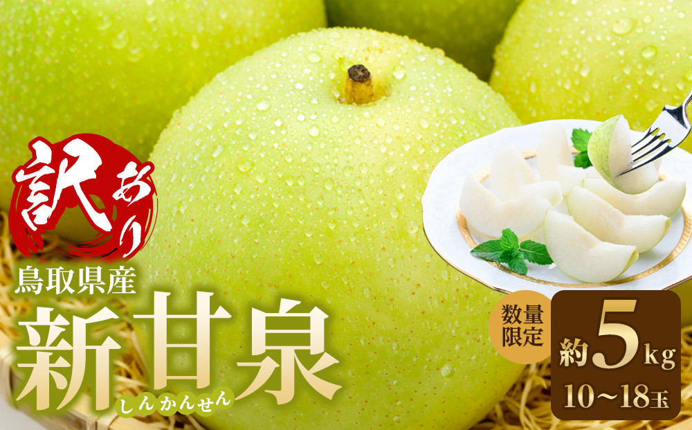 【先行予約】訳あり&nbsp;数量限定&nbsp;鳥取県産”新甘泉（しんかんせん）&nbsp;約5kg&nbsp;（10～18玉）≪2026年9月中旬頃出荷≫【梨&nbsp;フルーツ&nbsp;果物&nbsp;くだもの&nbsp;訳アリ&nbsp;旬&nbsp;国産&nbsp;新鮮&nbsp;人気&nbsp;おすすめ&nbsp;鳥取県&nbsp;琴浦町&nbsp;送料無料】