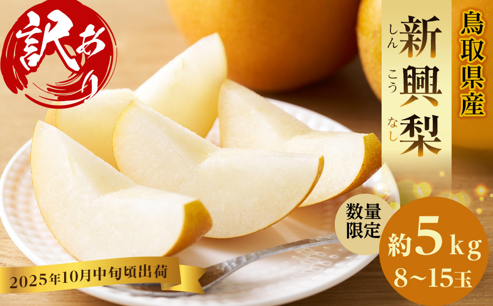 訳あり&nbsp;数量限定&nbsp;鳥取県産”新興梨（しんこうなし）”&nbsp;約5kg&nbsp;（8～15玉）≪2025年10月中旬頃出荷≫【梨&nbsp;フルーツ&nbsp;果物&nbsp;くだもの&nbsp;訳アリ&nbsp;旬&nbsp;国産&nbsp;新鮮&nbsp;人気&nbsp;おすすめ&nbsp;鳥取県&nbsp;琴浦町&nbsp;送料無料】
