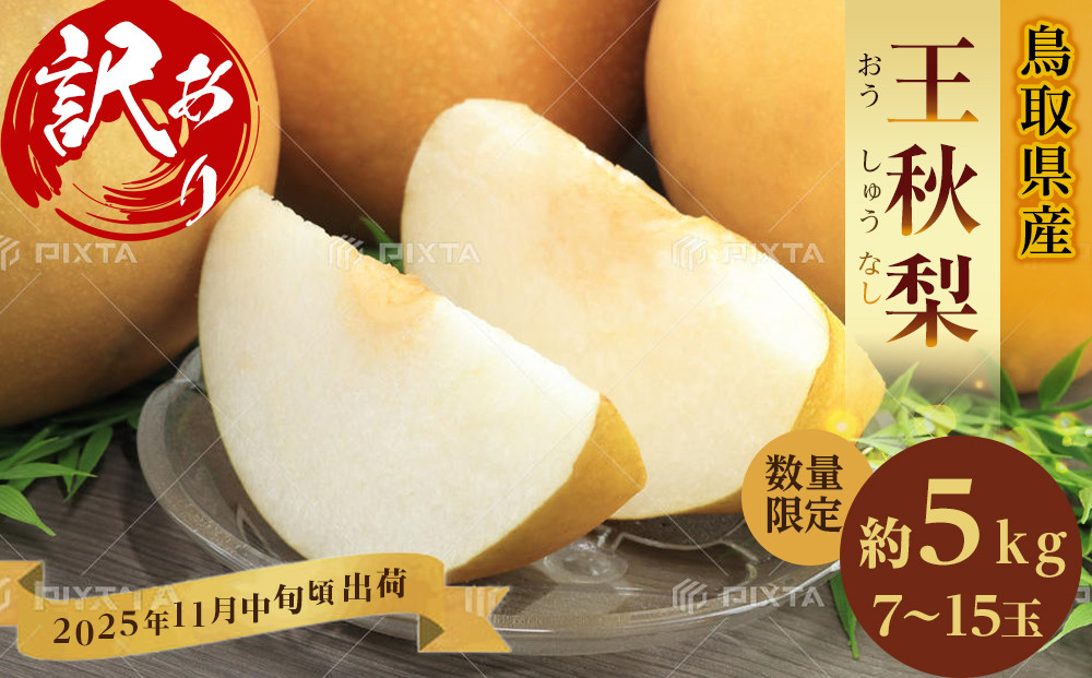 訳あり&nbsp;数量限定&nbsp;鳥取県産”王秋梨（おうしゅうなし）”&nbsp;約5kg&nbsp;（7～15玉）≪2025年11月中旬頃出荷≫【梨&nbsp;フルーツ&nbsp;果物&nbsp;くだもの&nbsp;訳アリ&nbsp;旬&nbsp;国産&nbsp;新鮮&nbsp;人気&nbsp;おすすめ&nbsp;鳥取県&nbsp;琴浦町&nbsp;送料無料】