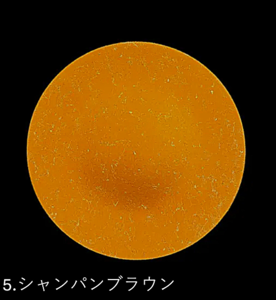 フラットプレート(D) 乱糸(マット仕上げ)シャンパンブラウン［NF112］