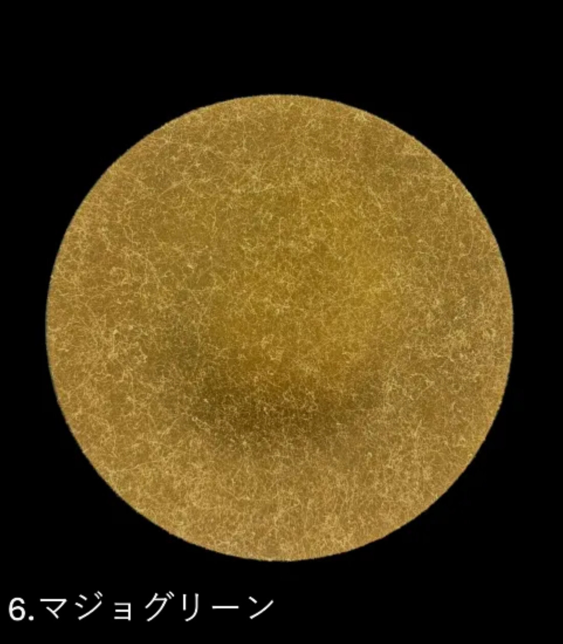 フラットプレート(D) 乱糸(マット仕上げ)マジョグリーン