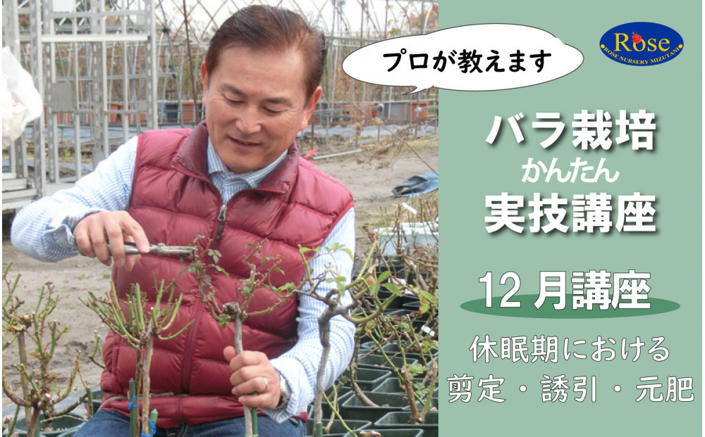 プロが教えるバラ栽培実技講座【12月：剪定・誘引・元肥】
