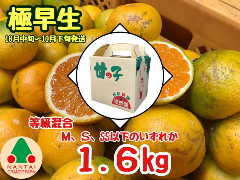等級混合&nbsp;極早生&nbsp;有田みかん&nbsp;M&nbsp;～&nbsp;SSサイズ以下&nbsp;約1.6kg&nbsp;南泰園&nbsp;和歌山&nbsp;有田みかん