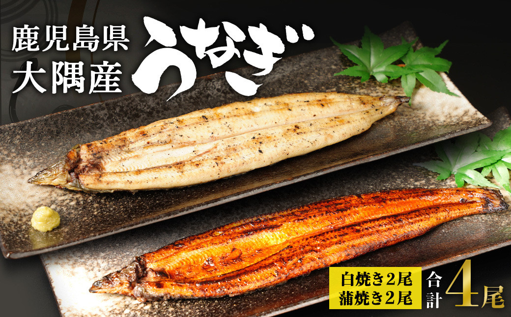 鹿児島県大隅産　千歳鰻の白焼2尾・蒲焼き2尾　合計4尾セット（1尾110g～130g）