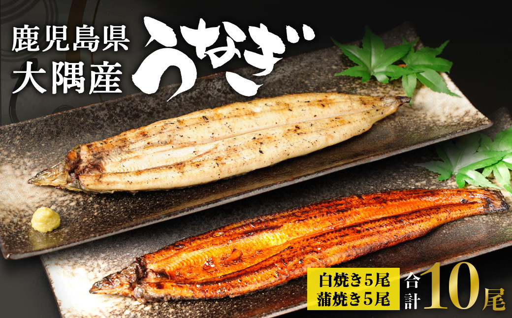 鹿児島県大隅産　千歳鰻の白焼5尾・蒲焼き5尾　合計10尾セット（1尾110g～130g）