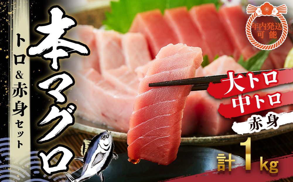 【12月末まで限定寄付額】【年内発送可】本マグロ トロ+赤身セット 1kg | 【年末年始お届け可能】大トロ 中トロ 鮪 刺身 寿司 海のダイヤ クロマグロ 人気