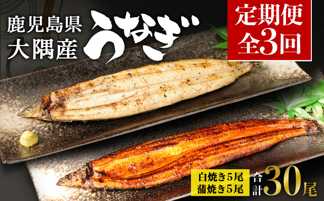 【定期便全3回】鹿児島県大隅産　千歳鰻の白焼5尾・蒲焼き5尾　（1尾110g～130g）