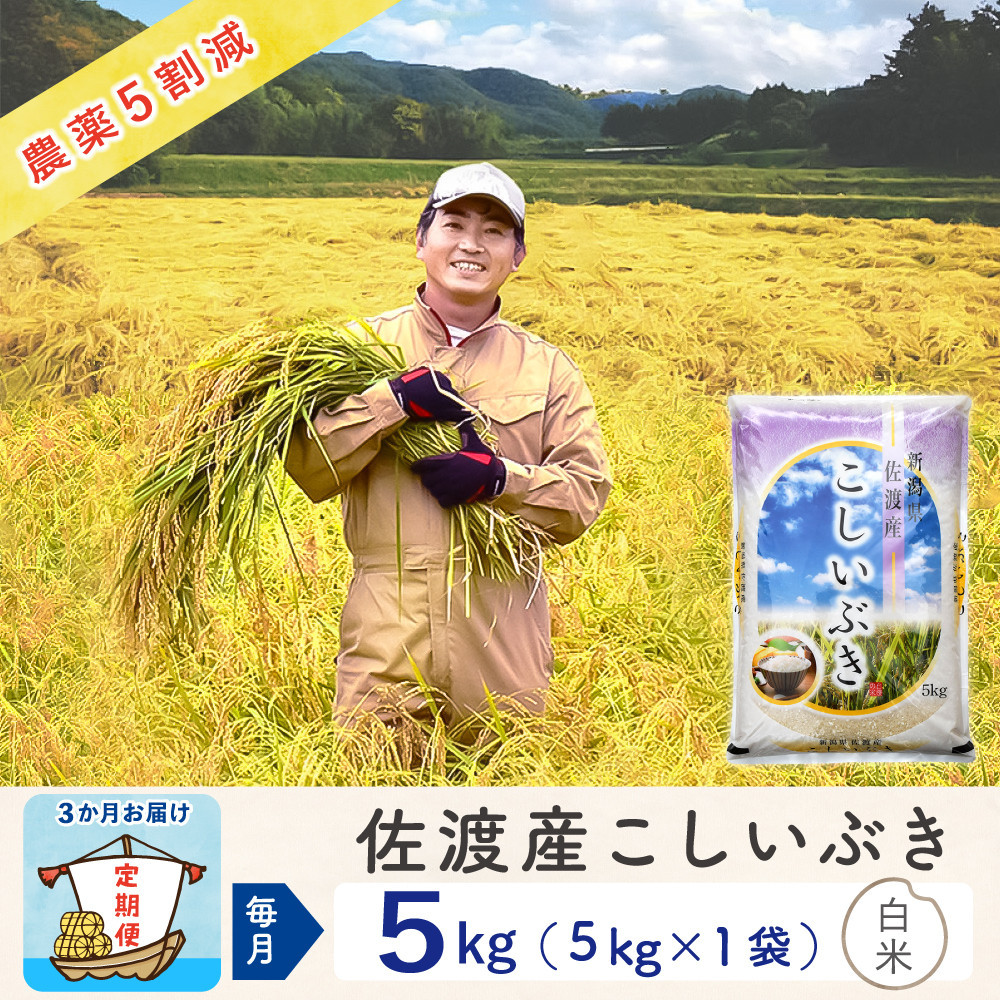【3か月定期便】佐渡島産こしいぶき&nbsp;白米5Kg&nbsp;令和7年&nbsp;～農薬5割減～&nbsp;農家直送