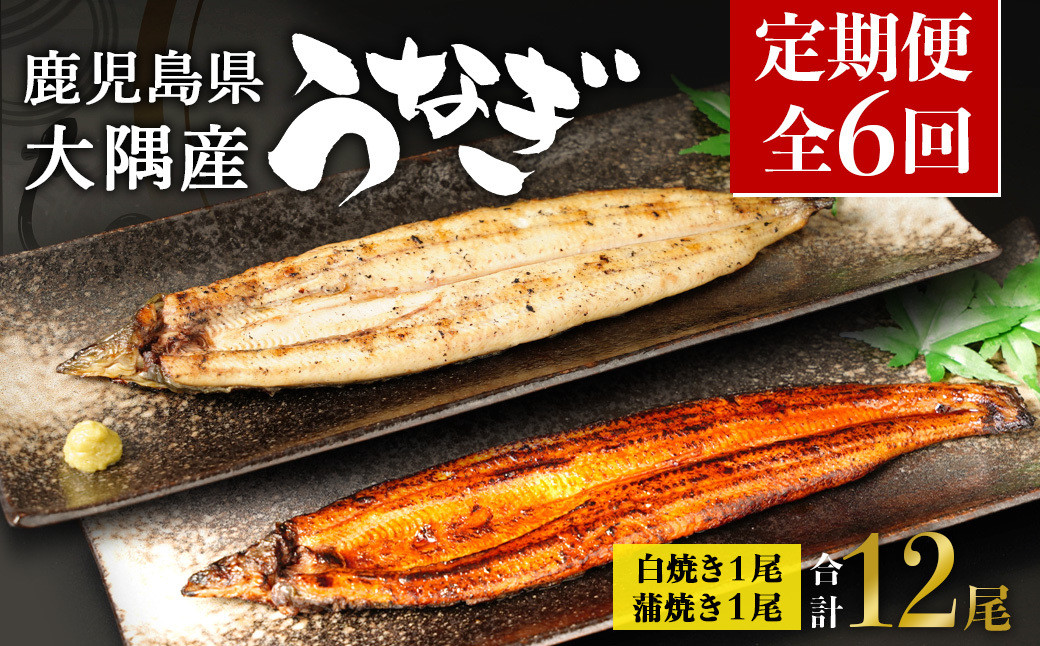 【定期便全6回】鹿児島県大隅産　千歳鰻の白焼1尾・蒲焼き1尾　（1尾110g～130g）