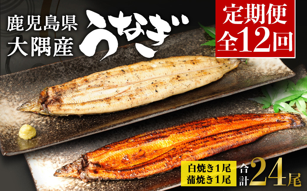 【定期便全12回】鹿児島県大隅産　千歳鰻の白焼1尾・蒲焼き1尾　（1尾110g～130g）