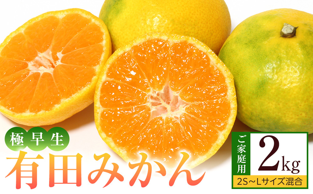 ［先行予約］ご家庭用&nbsp;極早生&nbsp;有田みかん&nbsp;約2kg&nbsp;2S～Lサイズ混合
