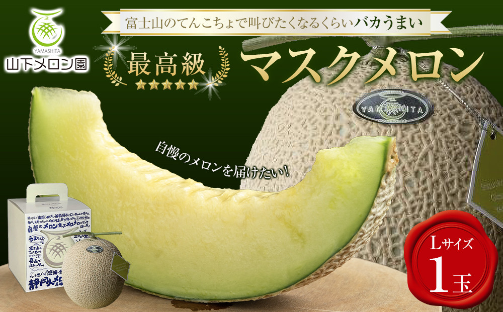 【限定企画商品】静岡人 × 山下メロンの最高級のマスクメロン 1玉 Ｌ玉1.6kg～1.7kg  静岡温室メロン「バカうまいメロン」「自慢のメロンを届けたい！！」　高級果実店に仕入れるほどの自信のあるメロン  ギフト  メロン めろん 箱詰め フルーツ 果物  産地直送 甘いメロン 糖度   青肉