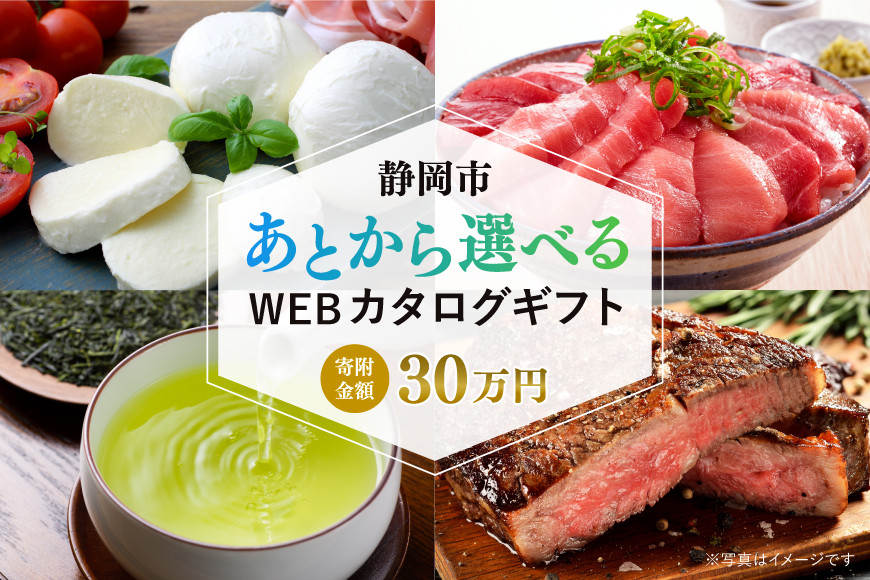 【静岡市】あとから選べるWEBカタログギフト（寄附30万円コース）90000ポイント｜寄附した後にゆっくり返礼品が選べて便利！対象返礼品続々追加中［&nbsp;静岡&nbsp;カタログポイント&nbsp;有効期限6か月&nbsp;対象商品続々追加中&nbsp;人気&nbsp;おすすめ&nbsp;旅行&nbsp;ホテル&nbsp;レストラン&nbsp;お肉&nbsp;お酒&nbsp;スイーツ&nbsp;ファッション&nbsp;美容&nbsp;インテリア&nbsp;家具&nbsp;アクセサリー&nbsp;&nbsp;スポーツ&nbsp;アウトドア&nbsp;ふるさと納税&nbsp;］