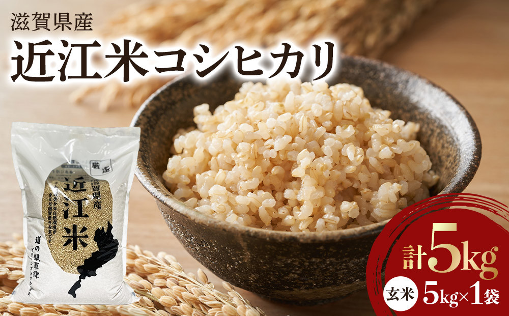 令和7年産　近江米コシヒカリ（玄米）5kg