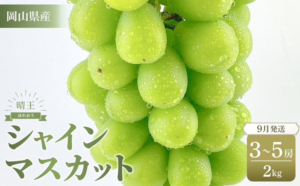ぶどう 2025年 岡山県産 シャインマスカット 晴王 約2kg（3～5房)【シャイン マスカット 葡萄 新鮮 岡山県 おすすめ 人気 種無し 皮ごと食べる フレッシュ ハレノフルーツ】